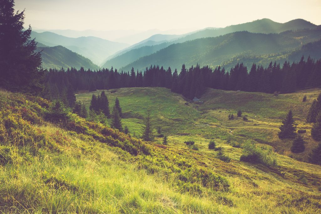 Misty summer mountain hills landscape. Filtered image:cross processed vintage effect.