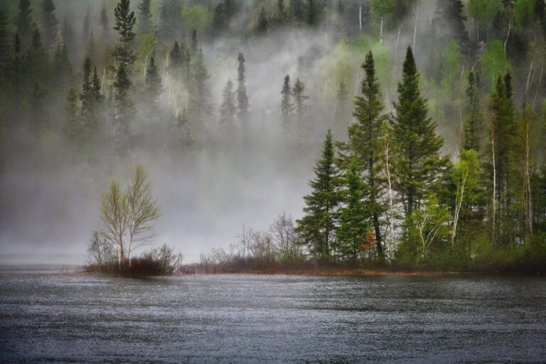 8 Ways to Explore Climate Data Changes: Stunning Visualization Techniques