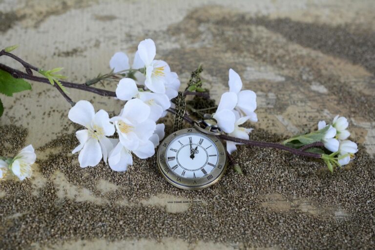 6 Historical Time Zone Changes That Shaped Global Unity