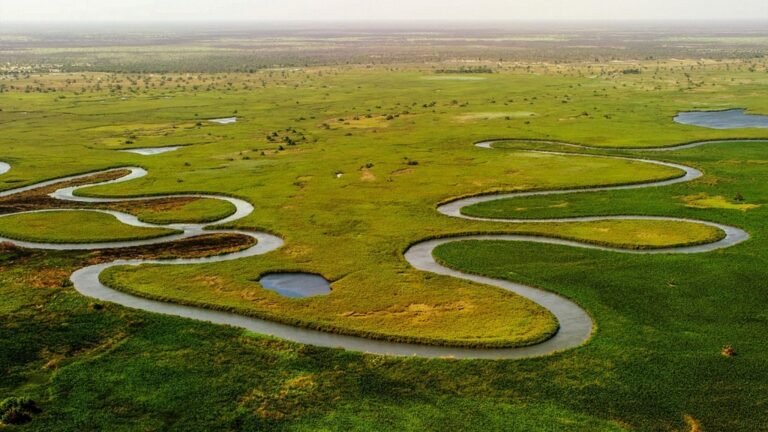 7 Ways Drone Mapping Will Change Wildlife Conservation Forever