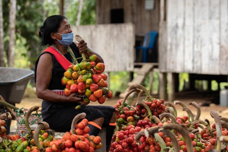 6 Ways Integrating Local Knowledge Improves Climate Maps Precision