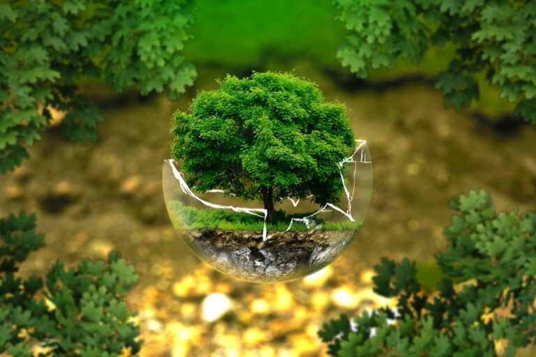 6 Ideas for Mapping Ecological Data Creatively That Reveal Hidden Patterns
