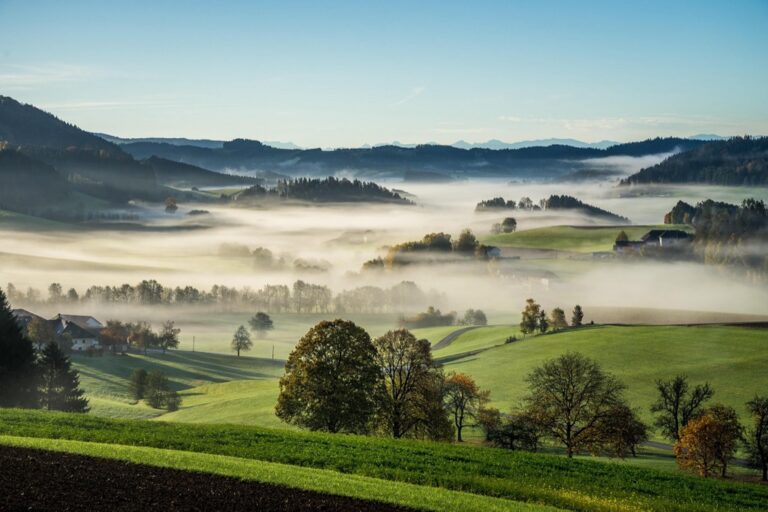 7 Urban vs Rural Cultural Mapping Strategy Differences That Transform Projects