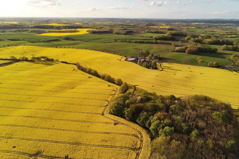 7 Creative Uses of Drone Mapping in Agriculture That Boost Yields