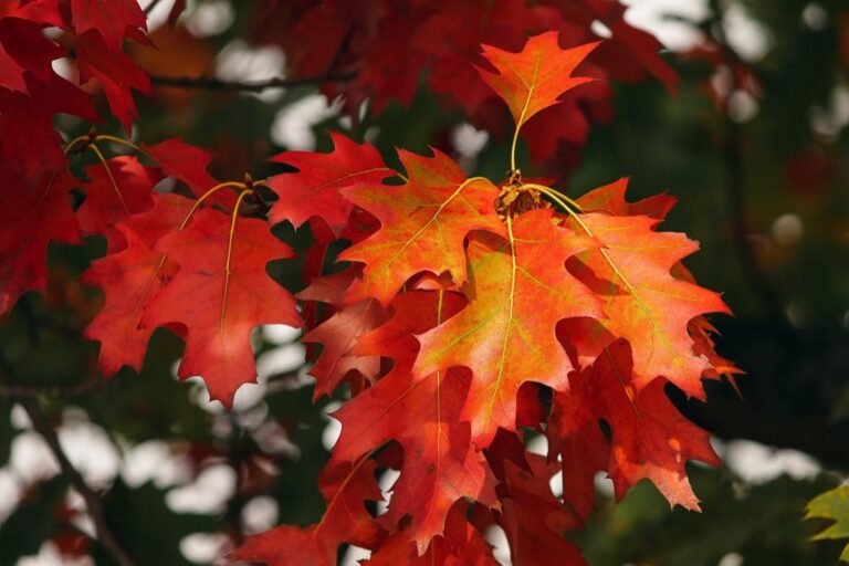 5 Ideas for Dynamic Color Adjustments That Transform Real-Time Maps