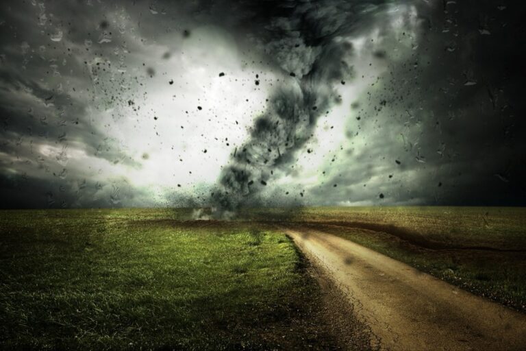5 Ways Climate Data Representation Will Change Digital Analysis